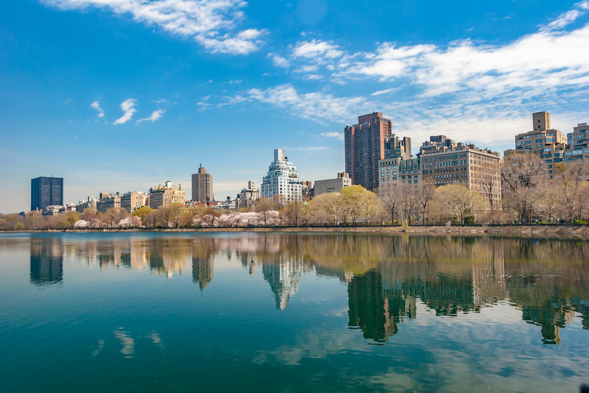 Central Park